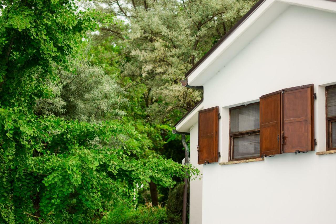Villa Barbagianni Senigallia Exterior foto